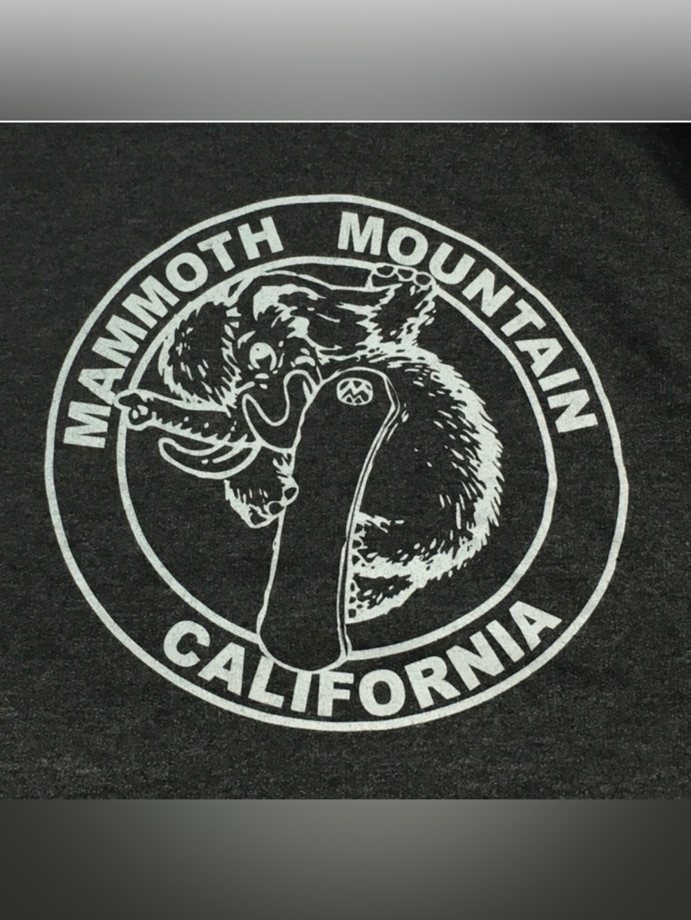 California Mammoth Mountain Grey Heather Hoodie Men’s Size Large